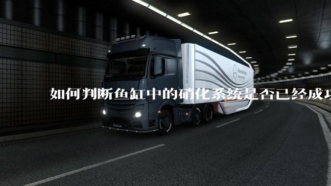 如何判断鱼缸中的硝化系统是否已经成功建立？