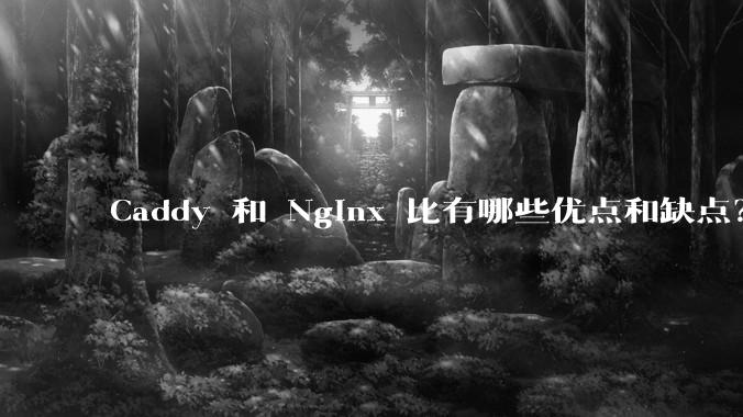 Caddy 和 Nginx 比有哪些优点和缺点？