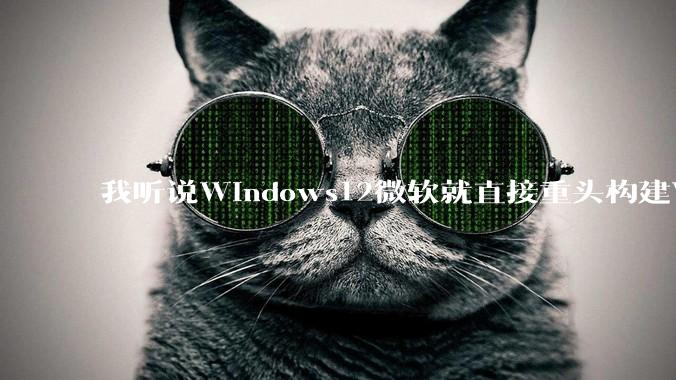我听说Windows12微软就直接重头构建Windows了，就直接重构Win内核了，到底是不是真的?