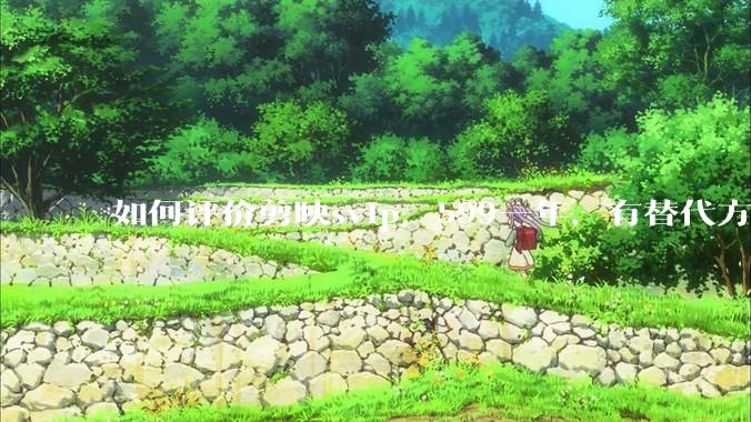 如何评价剪映svip，599一年，有替代方案吗？