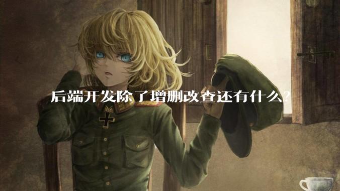 后端开发除了增删改查还有什么？