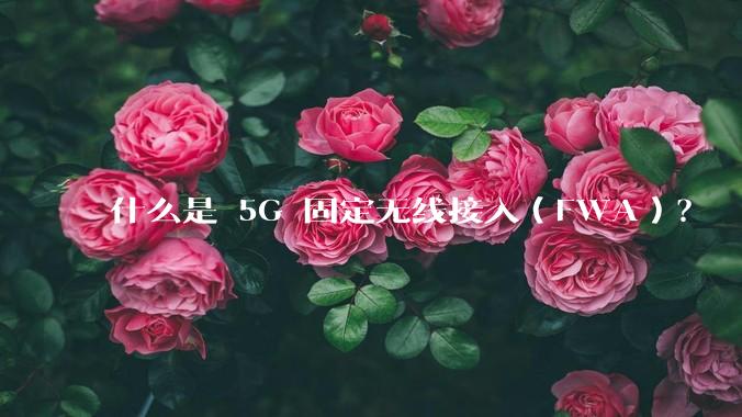 什么是 5G 固定无线接入（FWA）？