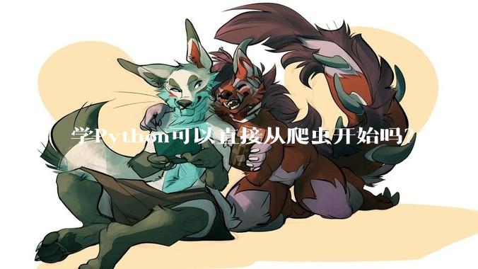 学Python可以直接从爬虫开始吗？