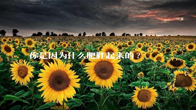 你是因为什么肥胖起来的?