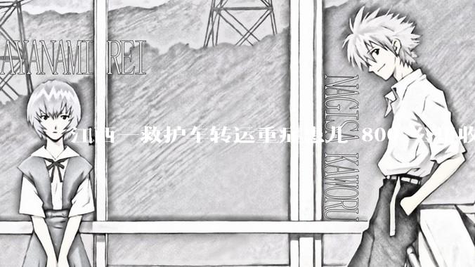 江西一救护车转运重症患儿 800 公里收 28000 元遭质疑，争议点是什么？哪些信息值得关注？