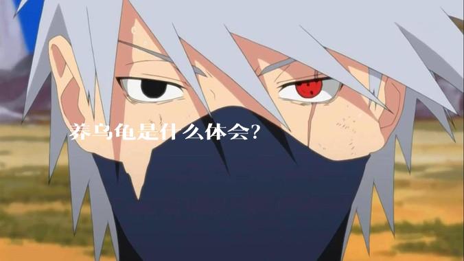 养乌龟是什么体会？