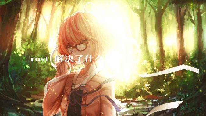 rust 解决了什么问题？