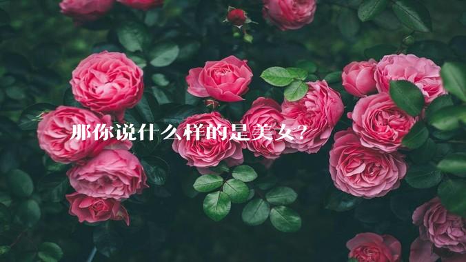 那你说什么样的是美女？