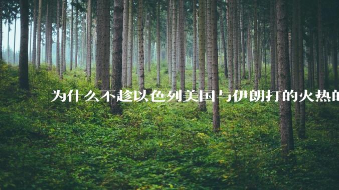 为什么不趁以色列美国与伊朗打的火热的时机收复台湾呢？