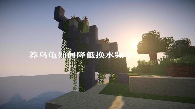 养乌龟如何降低换水频率？