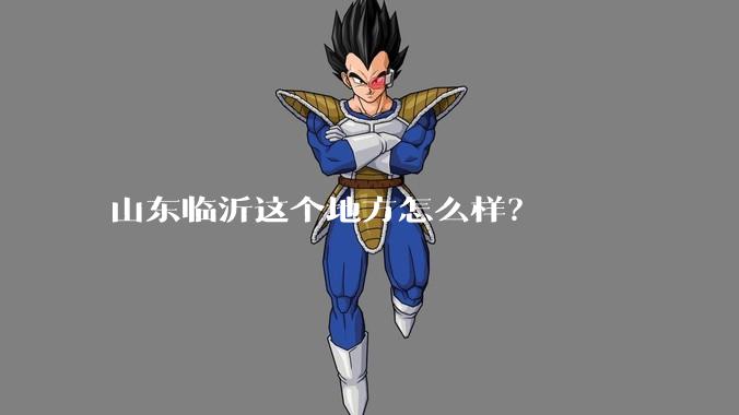 山东临沂这个地方怎么样？