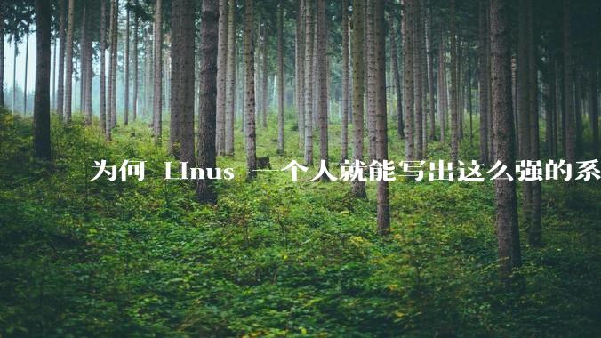 为何 Linus 一个人就能写出这么强的系统，中国却做不出来？