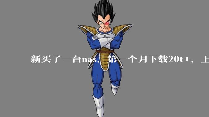 新买了一台nas，第一个月下载20t+，上传5+，不会被网警盯上吧?