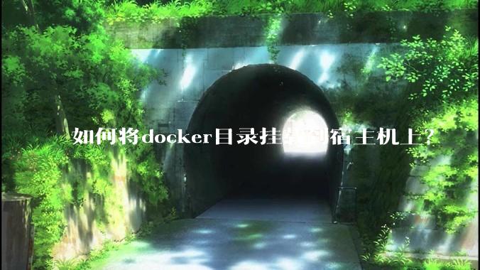 如何将docker目录挂载到宿主机上？