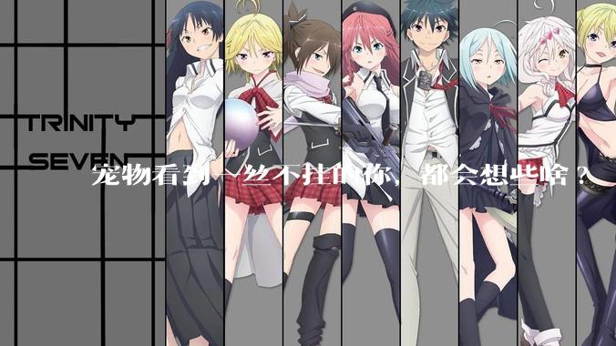 宠物看到一丝不挂的你, 都会想些啥?